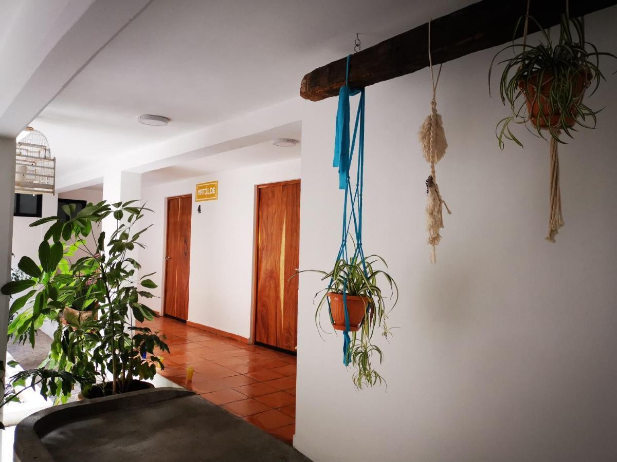 Santa Josefita B&B Cholula Eksteriør billede